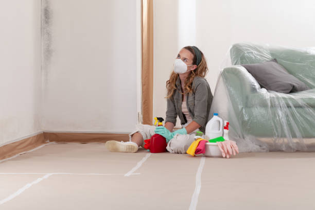 Reliable Mold Removal contractor in Helmetta, NJ by Mold Remediation HQ